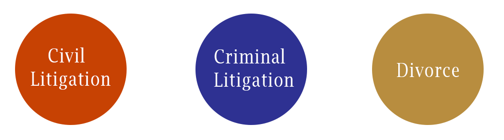  Civil Litigation , Criminal Ligitation, Divorce,fidel Gopaul attorneys and convayancers 